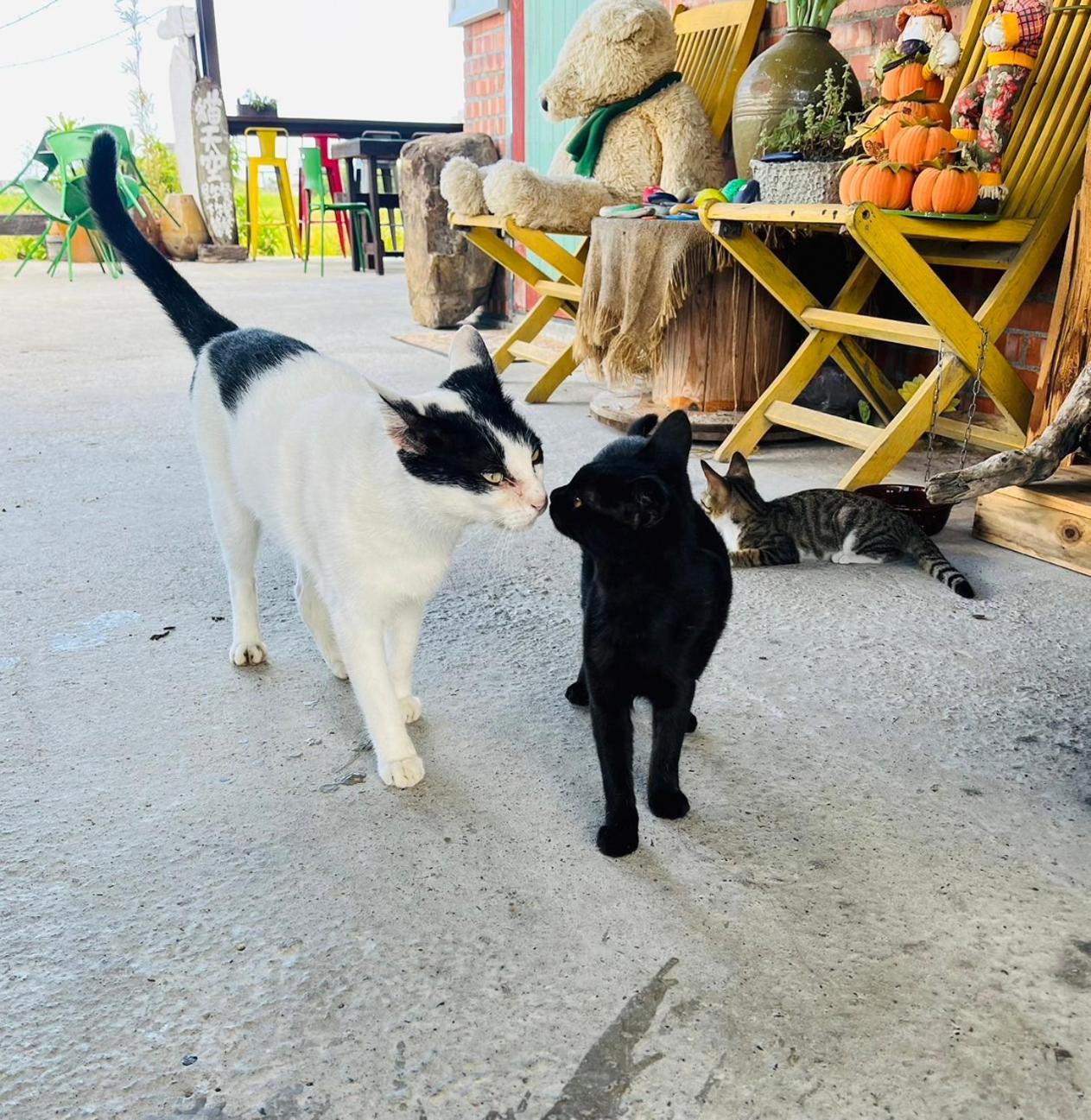 Cat Sky Country Homestay Thị trấn Tam Tinh Ngoại thất bức ảnh