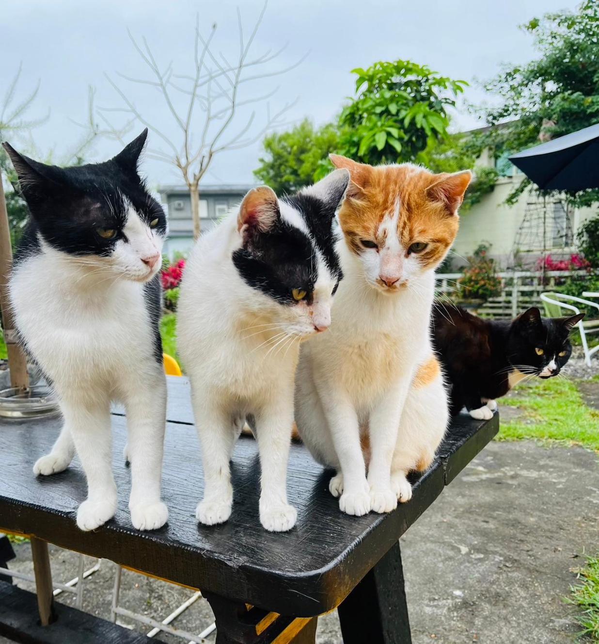 Cat Sky Country Homestay Thị trấn Tam Tinh Ngoại thất bức ảnh
