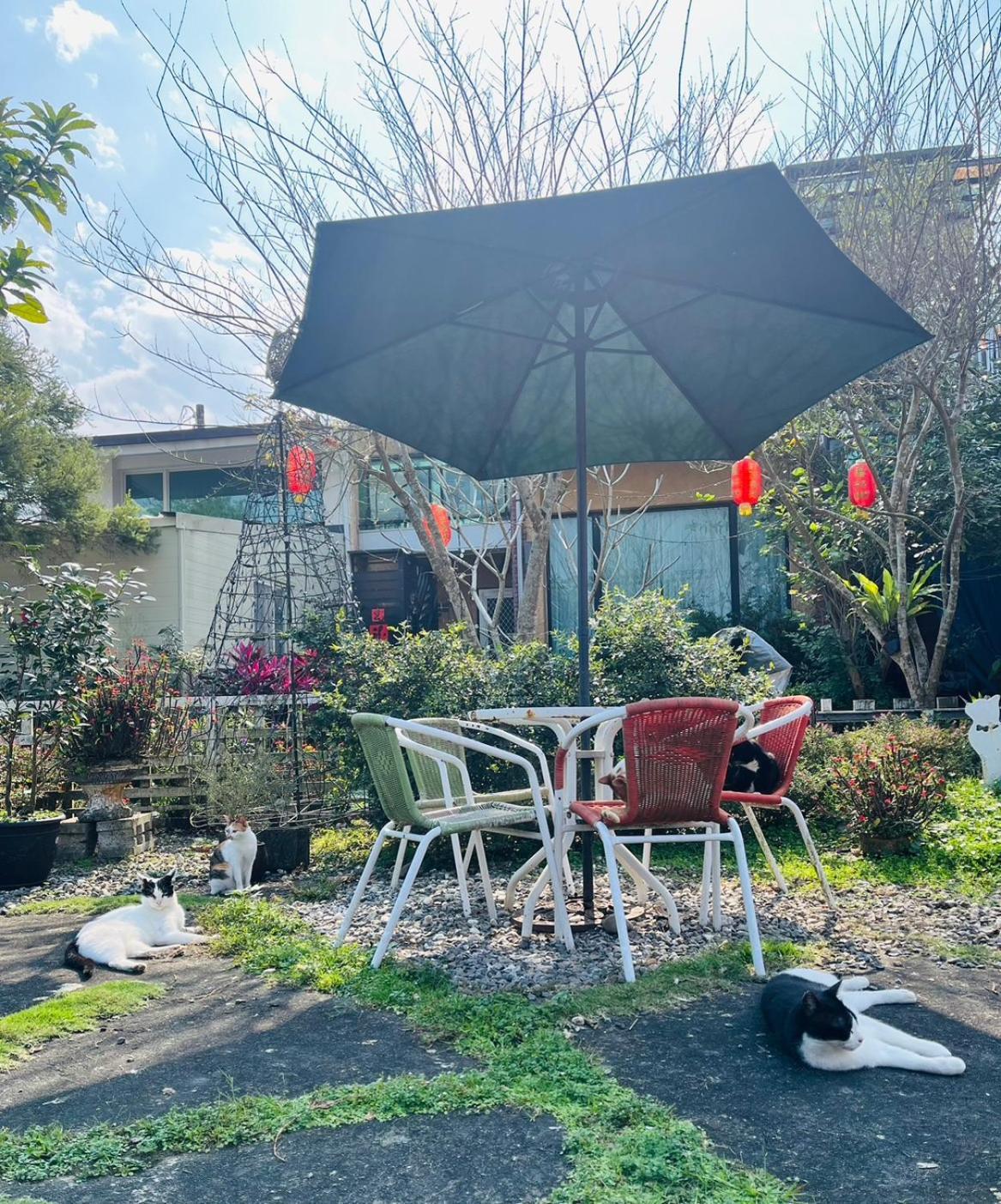 Cat Sky Country Homestay Thị trấn Tam Tinh Ngoại thất bức ảnh