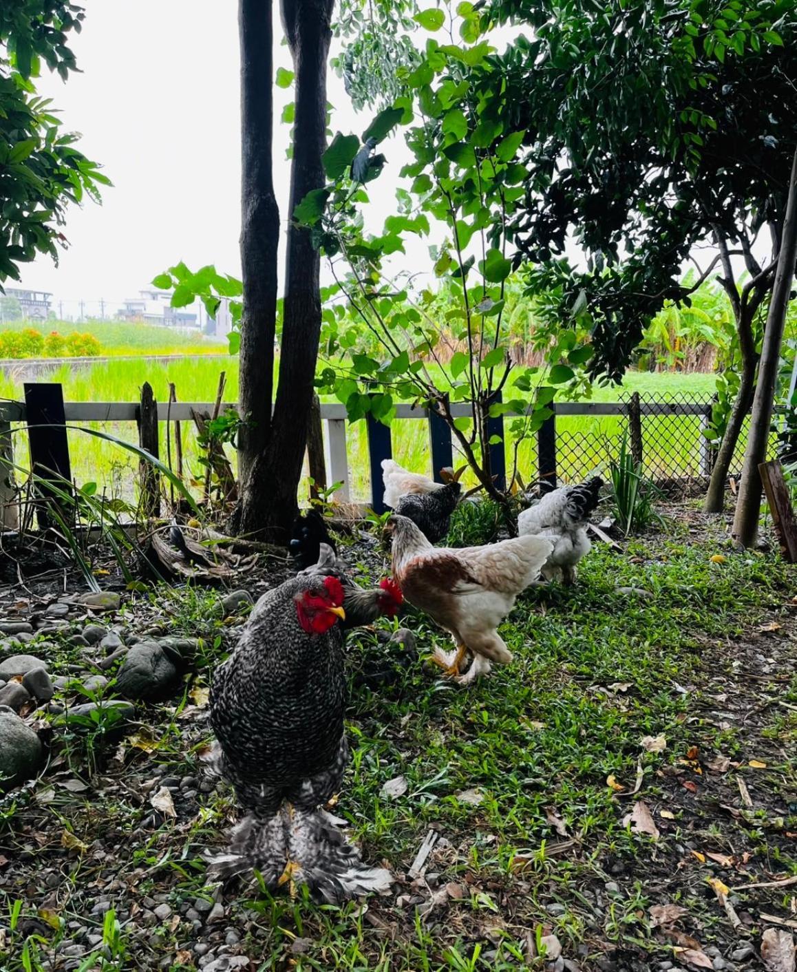 Cat Sky Country Homestay Thị trấn Tam Tinh Ngoại thất bức ảnh