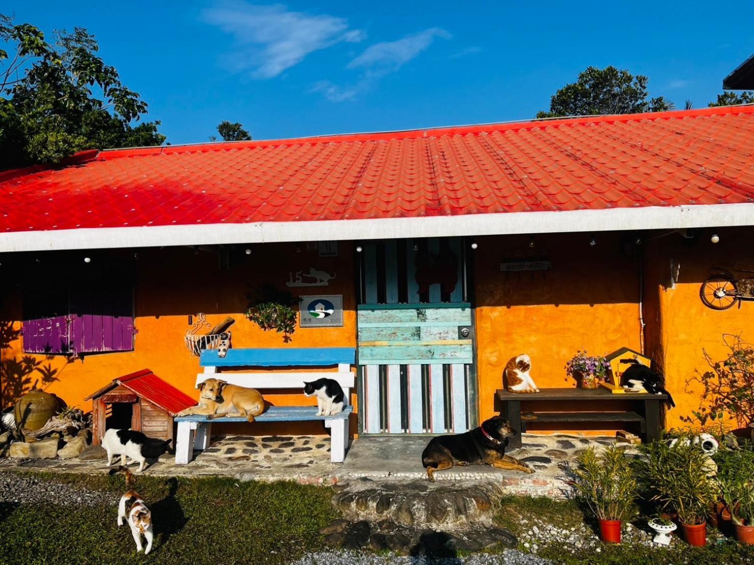 Cat Sky Country Homestay Thị trấn Tam Tinh Ngoại thất bức ảnh
