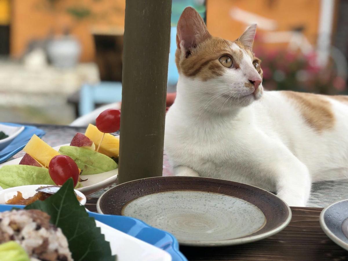 Cat Sky Country Homestay Thị trấn Tam Tinh Ngoại thất bức ảnh