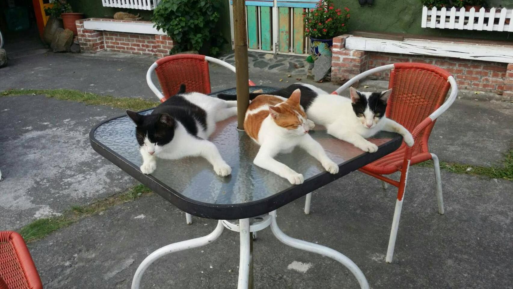 Cat Sky Country Homestay Thị trấn Tam Tinh Ngoại thất bức ảnh