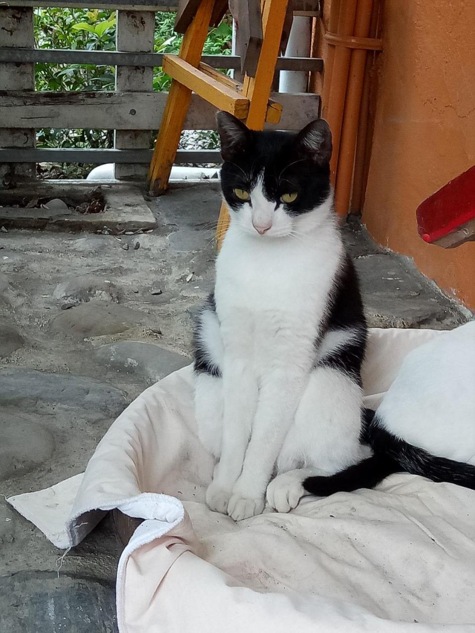 Cat Sky Country Homestay Thị trấn Tam Tinh Ngoại thất bức ảnh